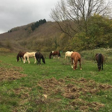 Le Hameau De Sylvanes Luaran gambar
